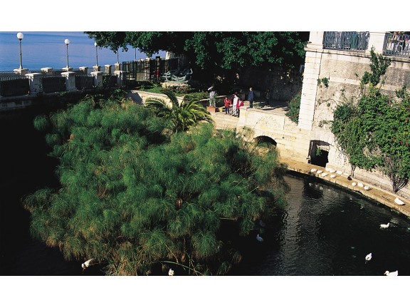 Syrakus und Ortigia