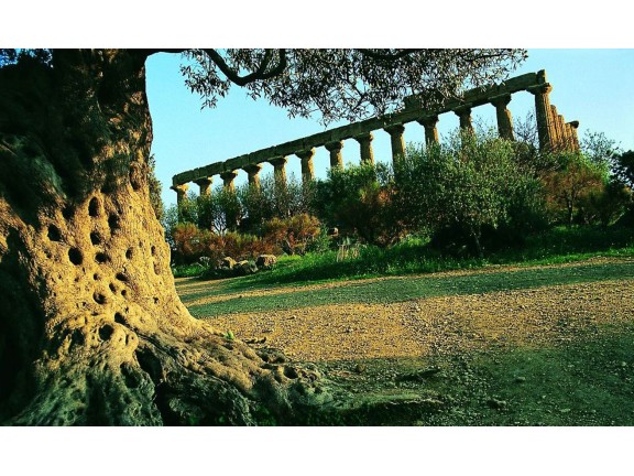 Agrigento - Piazza Armerina